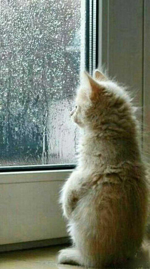   ִʫ 110925pknrmf2knfghrbrh