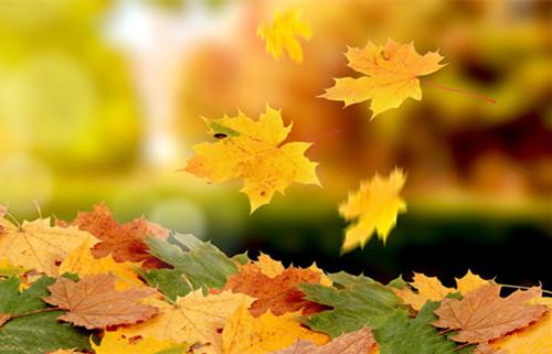 ߾Ҷƣ壩  Ͻ 160627vhaapdhld6e2aacd