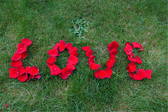 ¾  ɢ 214513eqhae49hrc5s083c