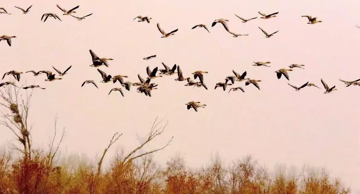 ľ.  Ͻ 154834il2aovooa6oo6ual