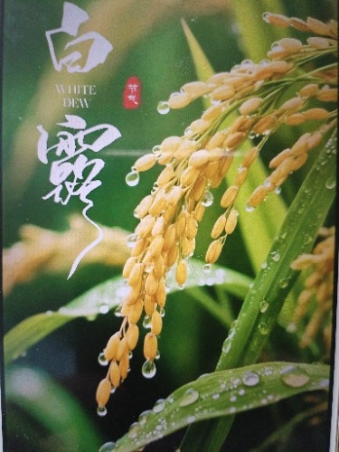 ¶֪ͣζ  ɢ 104616m2qtccstzhktskq9