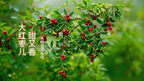   ɢ 141137m0iwkt7ok9te9d7e