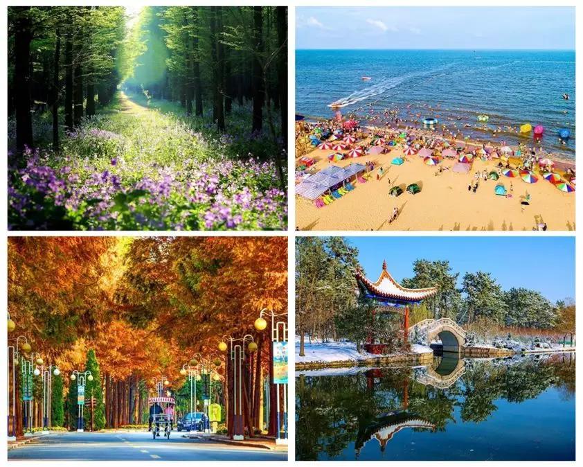 жȼͼ  ɢ 091209v46nyzwyweoyx46t