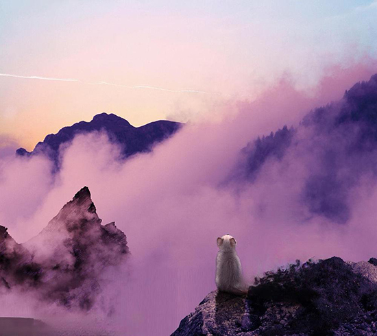 ʱ48.ұǸɽ  ִʫ 114219nlwmwpyl4pw5q4wa