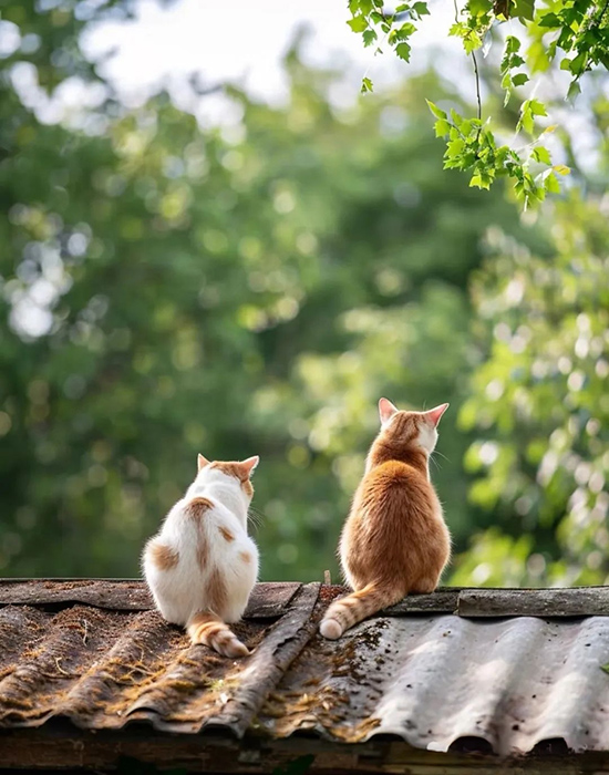 ʱ50.ǽ  ִʫ 113917ev22wwwvl6plnzlb