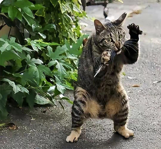 ʱ51.ʮһ͵ɱ  ִʫ 120603n4z3h3hoobl1b364