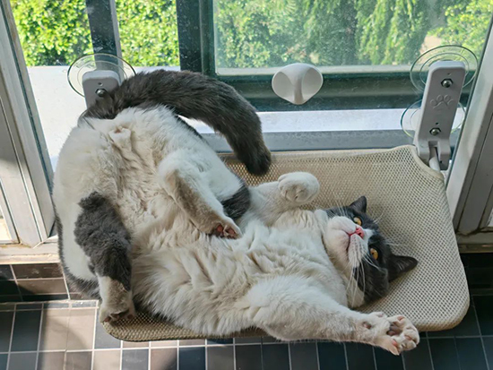 ʱ53.˭ҵ  ִʫ 120733pjzok8zomvuqvj2m