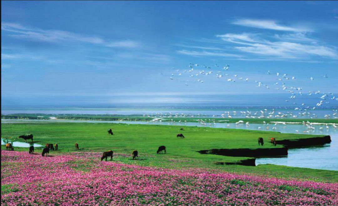 е۶黳  ɢ 091107kk4k7tdtqjb26z6l