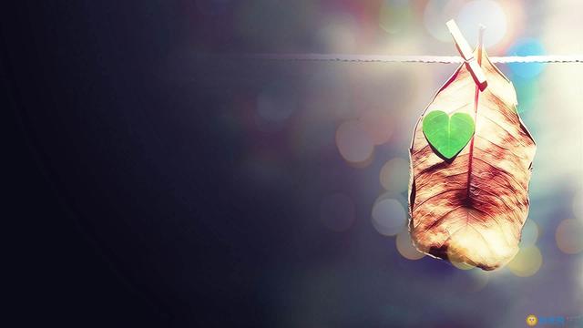 Ӳȥ  ɢ 204857e37c370yq7sqqscp