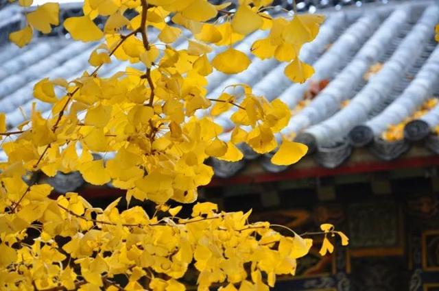   ɢ 195750jva58z2ua2q5taqe