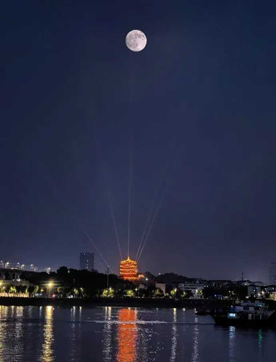 Ƕŷ磩  Ͻ 113938j3ykg2tti144ki31