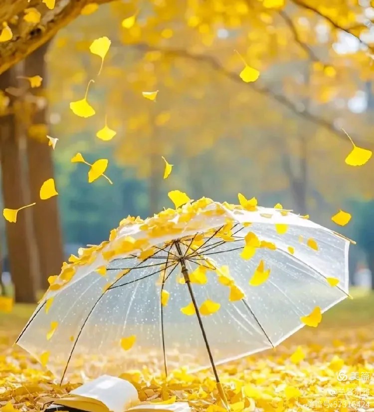 ֻʱ¥  ɢ 101958xl5axnsqtd0578gg