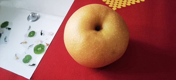 棨ŷ磩  Ͻ 131900ibvzrvks7bzp9phb