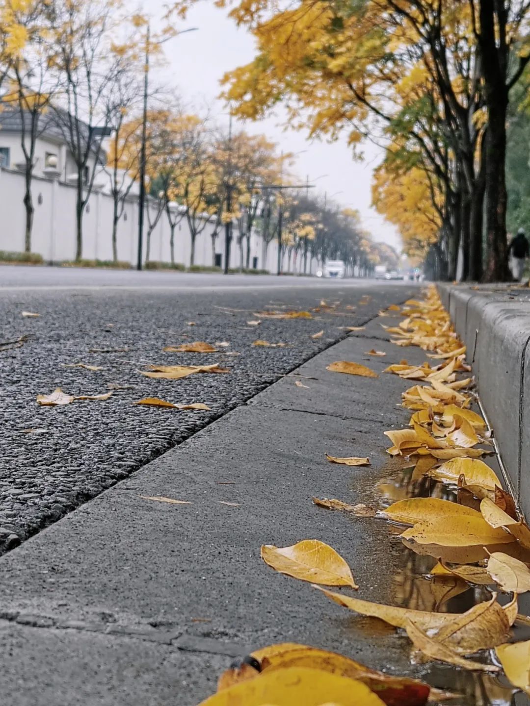 һӭ  ɢ 101021as57di7oioj6ijni