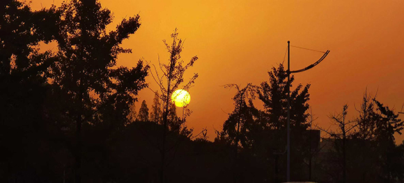 Сױ  Ͻ 113135ymhl87176w35lpz3