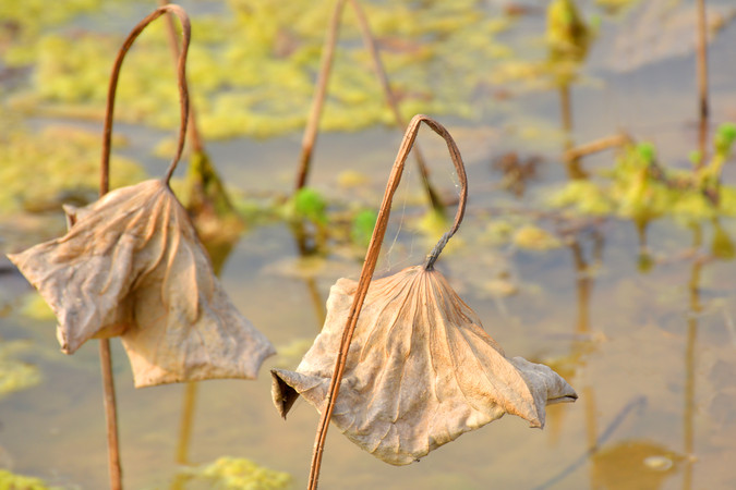 863f39cb3892e008333cf03d86dce70e.jpg 863f39cb3892e008333cf03d86dce70e.jpg