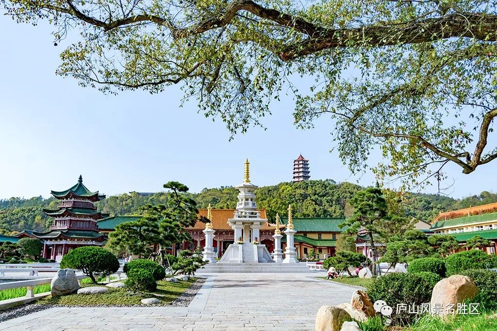 ǧɲľ  Ͷר 080248yab8wktabszj46l6