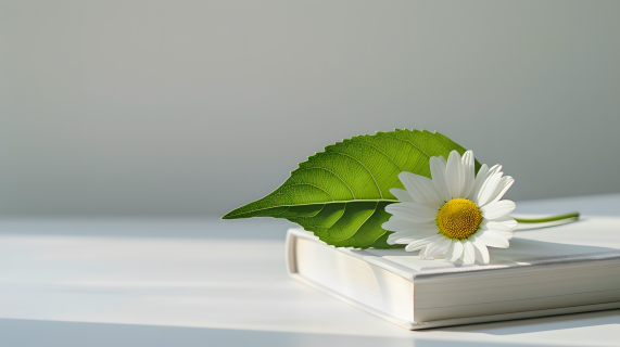 02d09619b4746a3d88c84168d4ad6ece.jpeg 02d09619b4746a3d88c84168d4ad6ece.jpeg