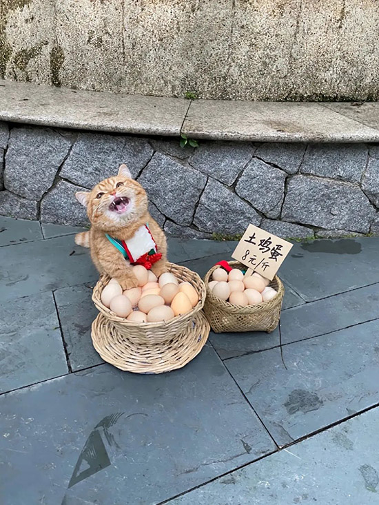 ʱ��55.���˼�  �ִ�ʫ�� 125302vczrhauaxa1anc1n