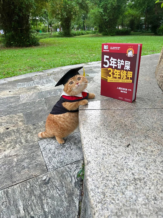 ʱ��56.�ҵĴ�ѧ  �ִ�ʫ�� 122858uzep35vl0l3evvmv