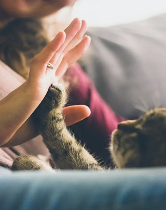 ʱ��59.��ã�����  �ִ�ʫ�� 120923m5hsd1h8458n516x