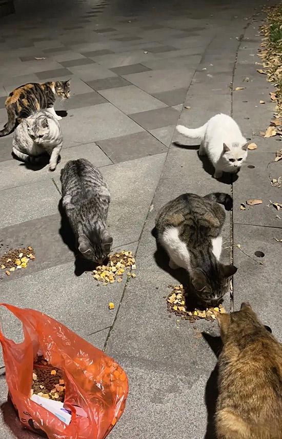 ʱ��60.�ǹ�  �ִ�ʫ�� 