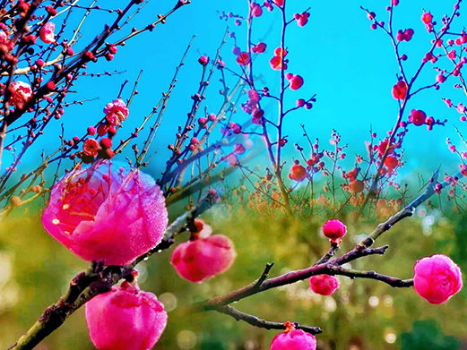 微信图片_2026-01-102.jpg 微信图片_2026-01-102.jpg