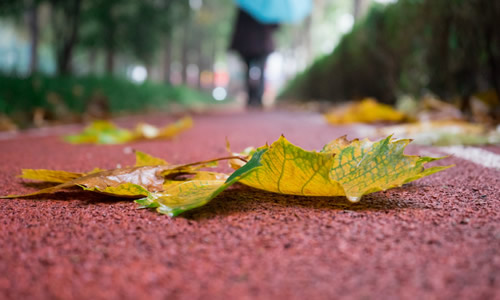 ������֮ǰ  Ͷ��ר�� 103904kiz2uauqkur0n2go