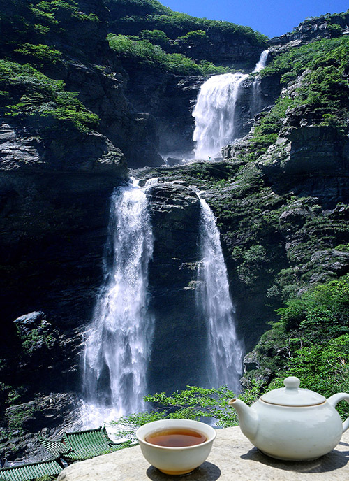 ʫ�仭�ŷ�����  Ͷ��ר�� 121319fcvdvi898chzhu0u