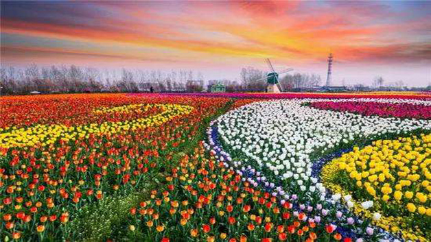 ������Ҿ�ϲ  ɢ����� 151404fqm6fjyyyml4dqzd