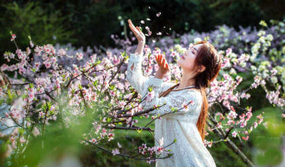 �ҵĻ��з�ʹ��Ĵ���  �ִ�ʫ�� 