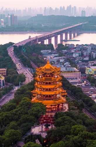 �ƺ�¥  Ͷ��ר�� 