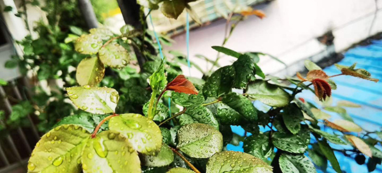 �����졤��ĩ���꿾��Ѽǲ��  Ͷ��ר�� 114348p8aawir9ark9pszz