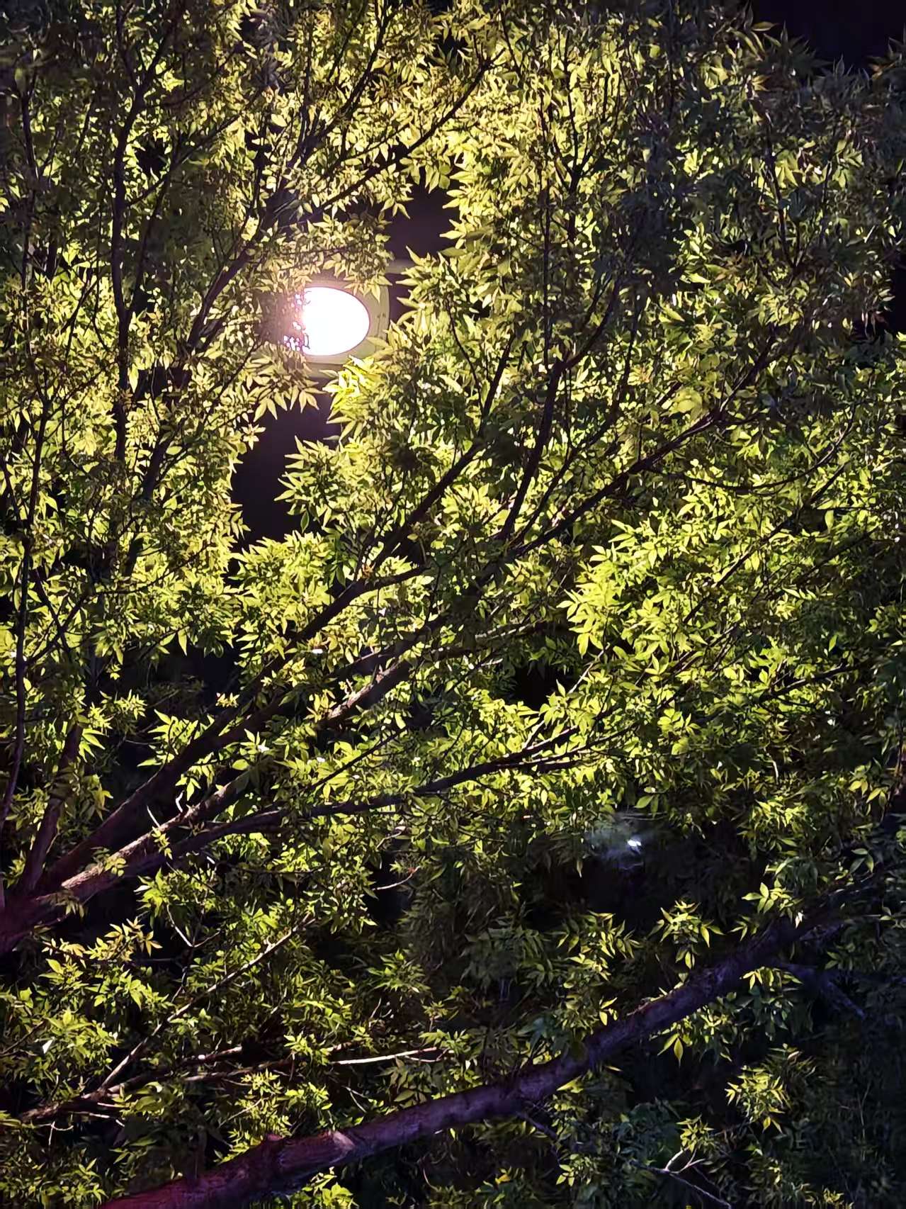 微信图片_20260415083408.jpg 微信图片_20260415083408.jpg