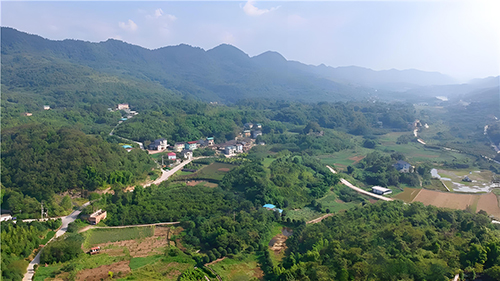 �����ӡ�˼�Ĵ������ϣ�  Ͷ��ר�� 125147x0f7gnr74q06hrn0