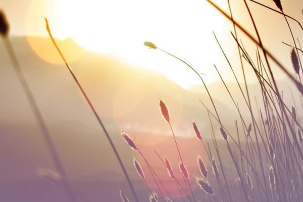 ��һ��֬�ۣ���һ������  Ͷ��ר�� 