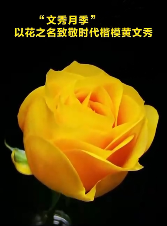 8.24����24�仨24ʫ����С�����¼�1.jpg
