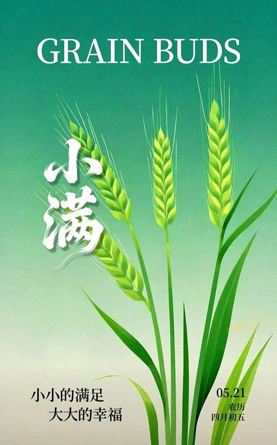 8.24����24�仨24ʫ����С�����¼�2.jpg