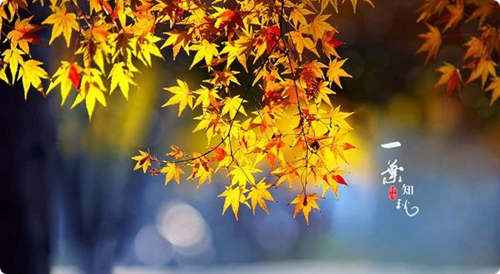 谁在倾听,这多情的秋