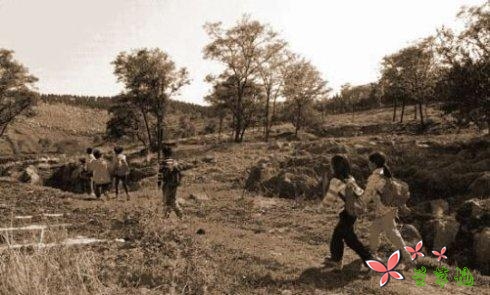 生在农村,福兮,祸兮?(散文)