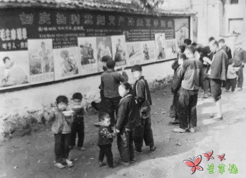 生在农村,福兮,祸兮?(散文)