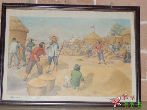 生在农村,福兮,祸兮?(散文)