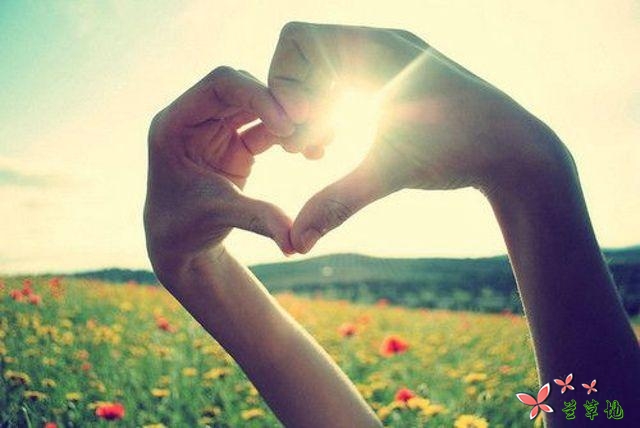 爱,是一场灵魂的相遇(情感美文)