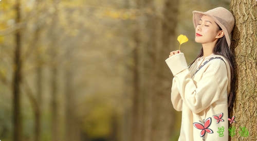 这一年,感谢有你......