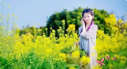 心里种上花,处处好风景