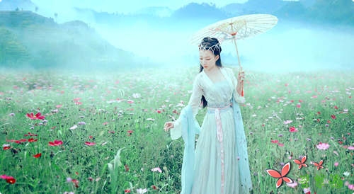 倾听,花开的声音