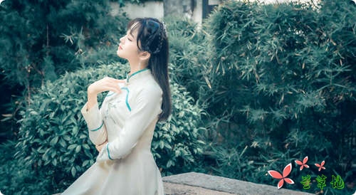 尘之邂逅,爱于岁里徘徊