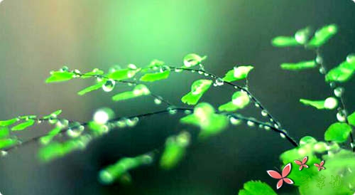 信手辞春去,爱染流年香