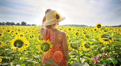 养一份好心情,做一世快乐人