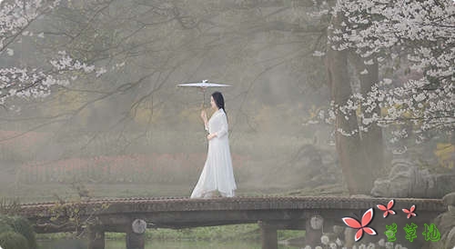 人间最美,是清欢